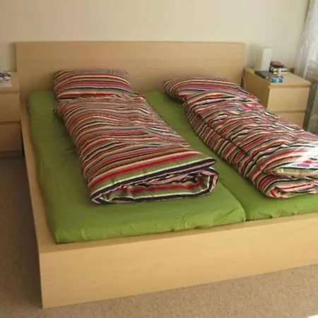 2-zimmer-ferienwohnung Apartment Wildhaus